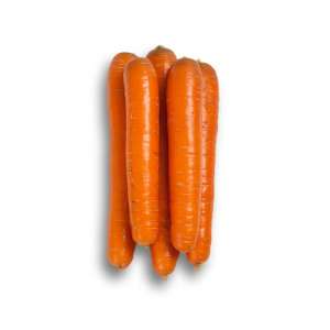Джерада F1 - морковь (1,4-1,6), Rijk Zwaan (Рийк Цваан), Голландия фото, цена